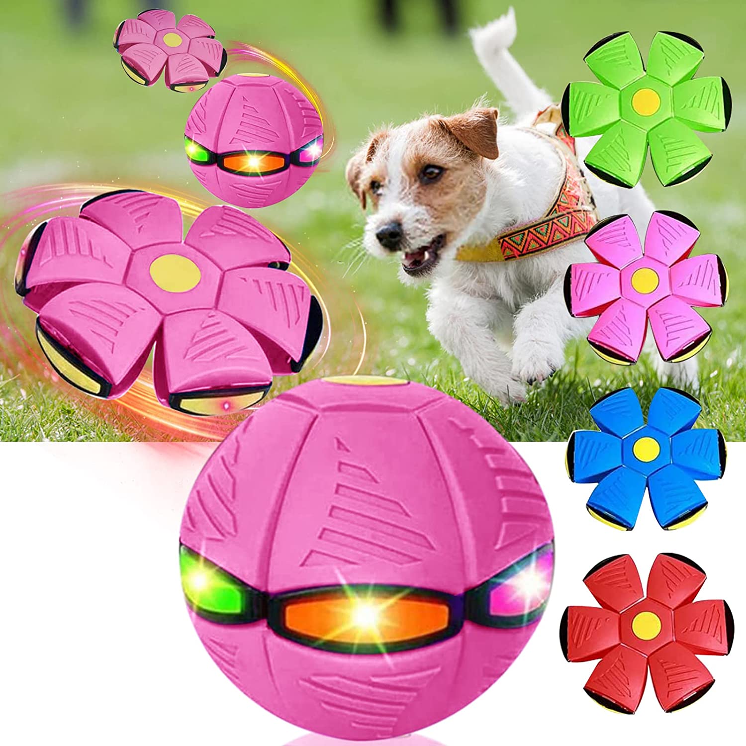 Magic Saucer Dog Toy: Interactive Fun for All Sizes Zydropshipping