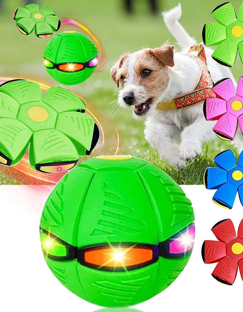 Load image into Gallery viewer, Magic Saucer Dog Toy: Interactive Fun for All Sizes Zydropshipping
