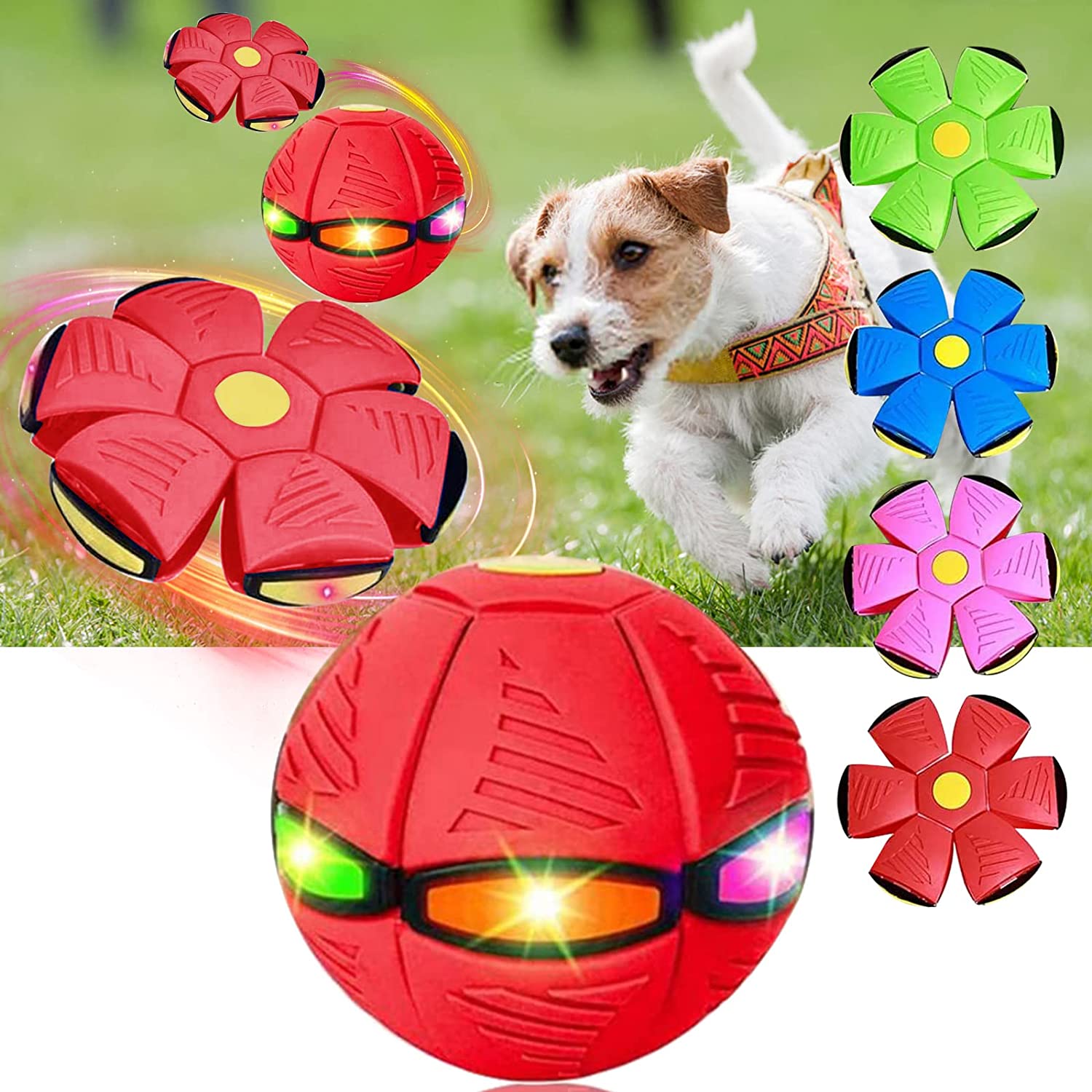 Magic Saucer Dog Toy: Interactive Fun for All Sizes Zydropshipping