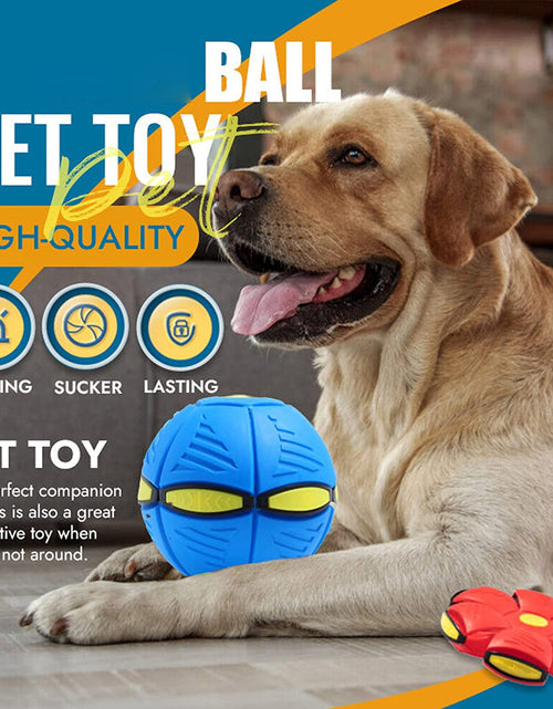 Load image into Gallery viewer, Magic Saucer Dog Toy: Interactive Fun for All Sizes Zydropshipping
