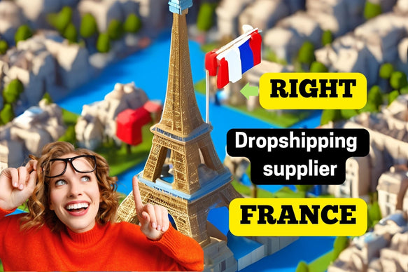 Unlocking Success: How to Choose the Right Dropshipping Supplier in France.