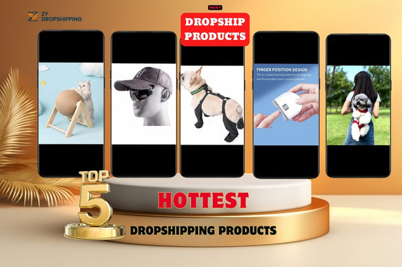 Top 5 Best Drop-shipping Products for Booming Sales in Israel