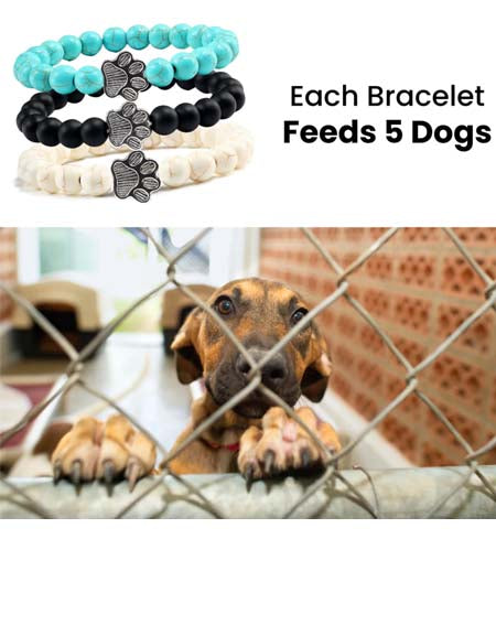 Load image into Gallery viewer, Pawfect Pals Dog Bracelet: Adorable Accessory for Your Furry Friend
