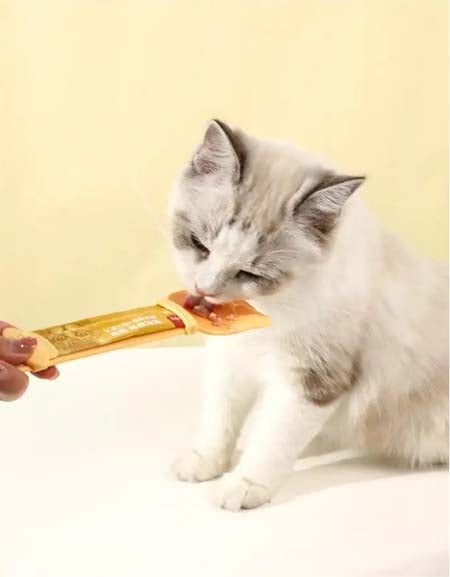 Load image into Gallery viewer, Cat feeder, cat feeding device, food spoon, for pets Zydropshipping
