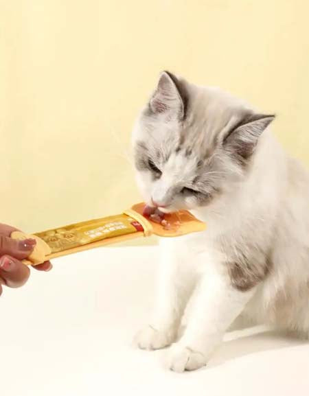 Load image into Gallery viewer, Cat feeder, cat feeding device, food spoon, for pets Zydropshipping
