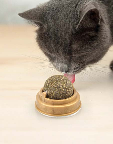 Load image into Gallery viewer, Whisker Whirl: Catnip Spin &amp; Lick Ball with Natural Grass for Dental Health &amp; Delight
