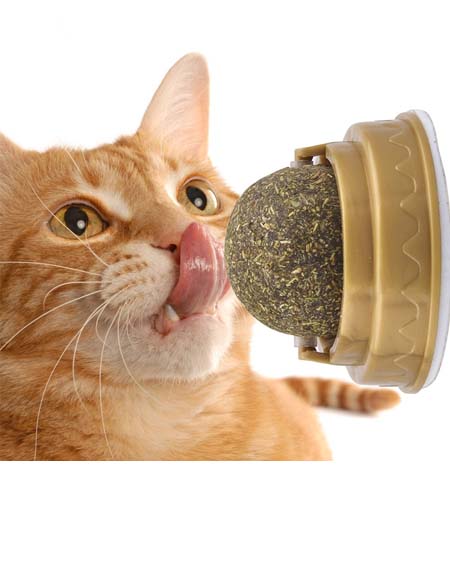 Load image into Gallery viewer, Whisker Whirl: Catnip Spin &amp; Lick Ball with Natural Grass for Dental Health &amp; Delight
