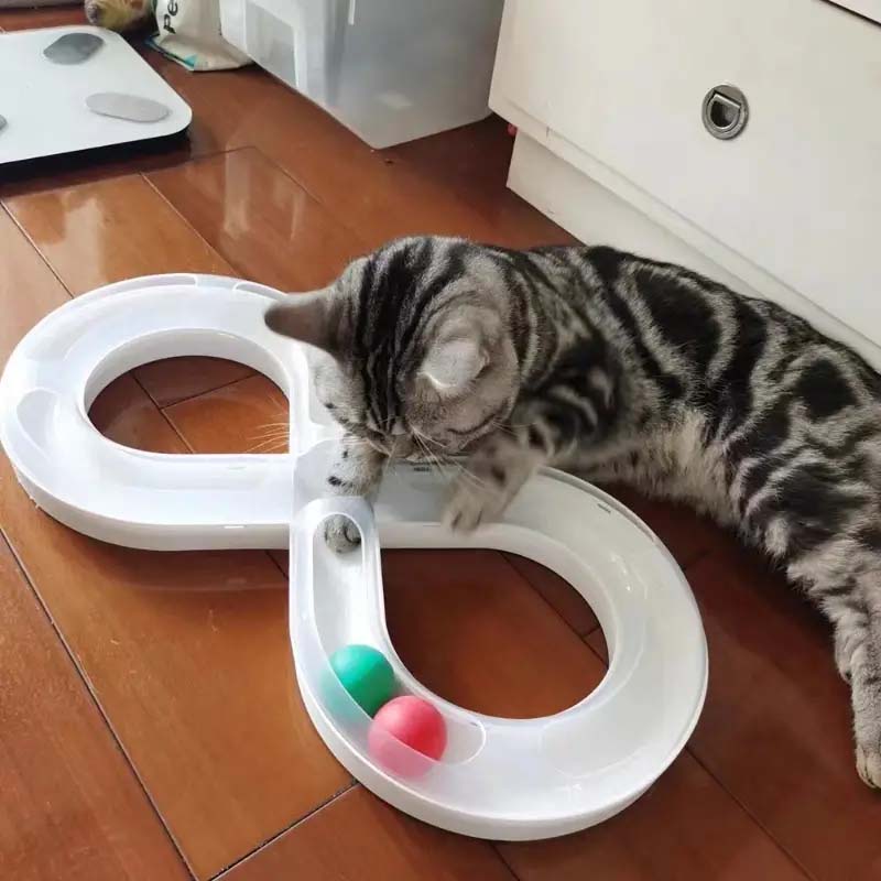 Interactive Cat Turntable Toy - Durable, Self-Entertainment for Indoor Cats Kittens.