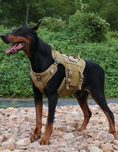 Load image into Gallery viewer, Reflective Tactical Dog Harness with Molle &amp; No-Pull Design
