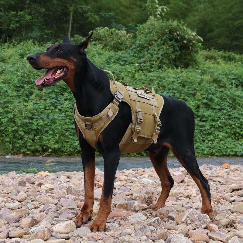 Reflective Tactical Dog Harness with Molle & No-Pull Design