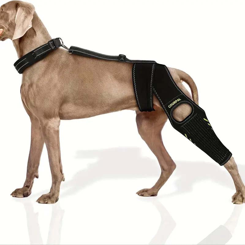 Dog Knee Brace for Torn ACL/CCL and Arthritis