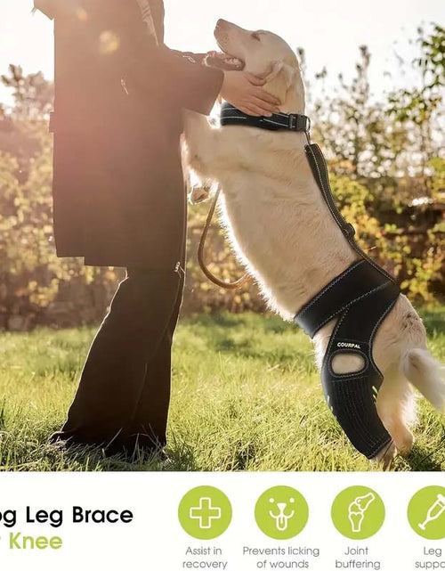 Load image into Gallery viewer, Dog Knee Brace for Torn ACL/CCL and Arthritis
