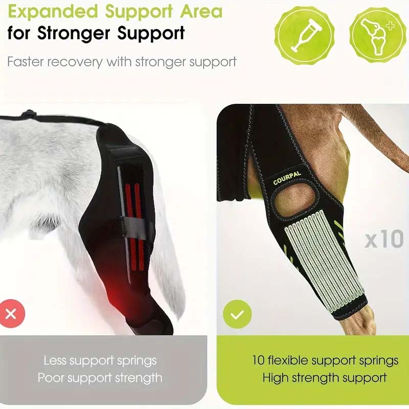 Dog Knee Brace for Torn ACL/CCL and Arthritis