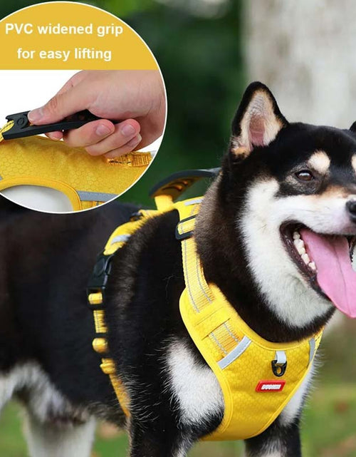 Load image into Gallery viewer, ElasticPaws Dog Leash: Premium Elastic Leads Rope for Safe and Comfortable Walks Zydropshipping
