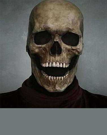 Load image into Gallery viewer, Realistic Full Head Skull Mask – Ultimate Halloween Costume Accessory
