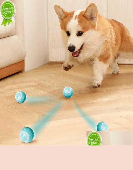 Interactive Electric Dog Toy: Smart Rolling Ball for Indoor Puppy Play Zydropshipping