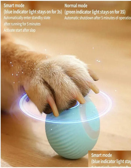 Interactive Electric Dog Toy: Smart Rolling Ball for Indoor Puppy Play Zydropshipping