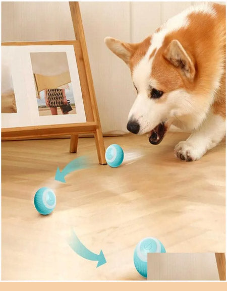 Interactive Electric Dog Toy: Smart Rolling Ball for Indoor Puppy Play Zydropshipping