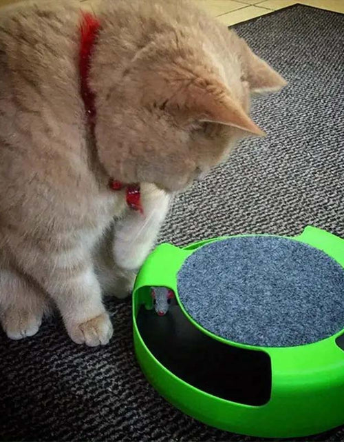 Load image into Gallery viewer, Interactive Cat Toy - Durable Colorful, and Fun
