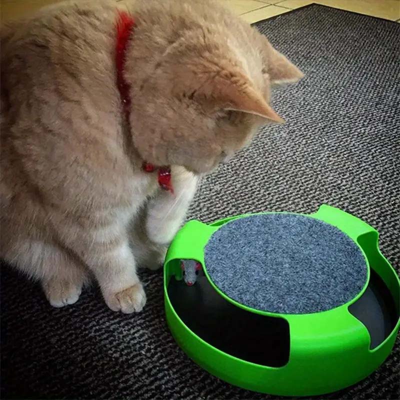 Interactive Cat Toy - Durable Colorful, and Fun