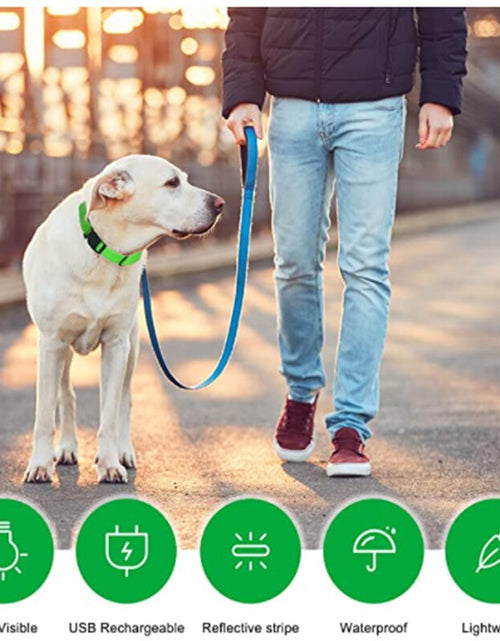 Load image into Gallery viewer, LightPup LED Dog Collar: Night Safety for Small Pets. Zydropshipping
