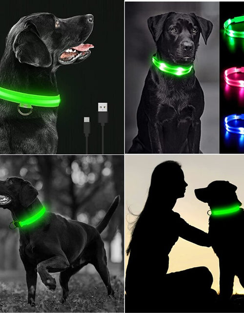 Load image into Gallery viewer, LightPup LED Dog Collar: Night Safety for Small Pets. Zydropshipping
