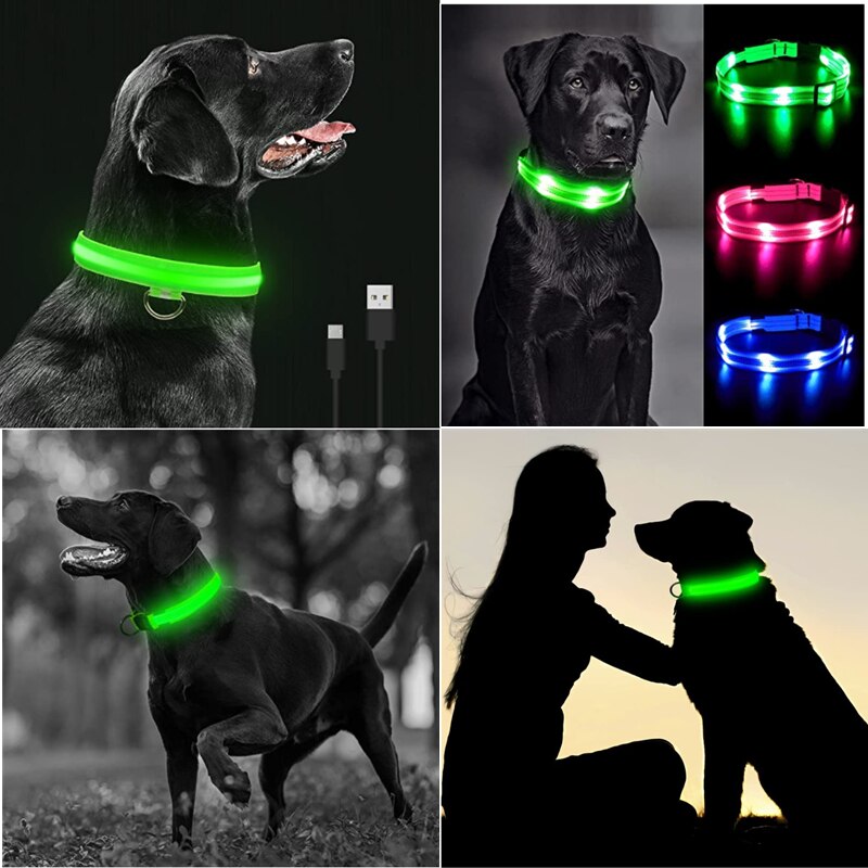 LightPup LED Dog Collar: Night Safety for Small Pets. Zydropshipping