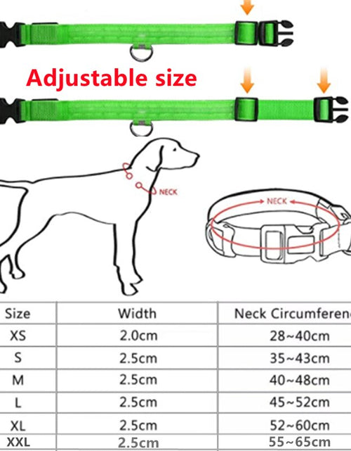 Load image into Gallery viewer, LightPup LED Dog Collar: Night Safety for Small Pets. Zydropshipping
