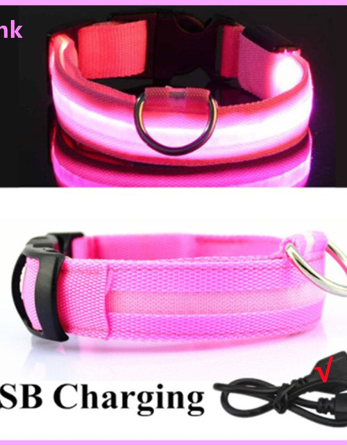 Load image into Gallery viewer, LightPup LED Dog Collar: Night Safety for Small Pets. Zydropshipping
