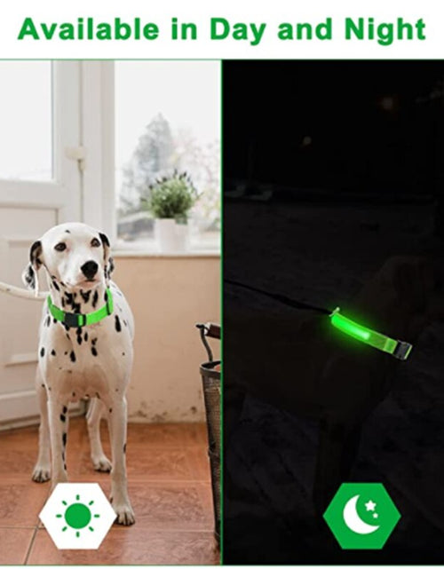 Load image into Gallery viewer, LightPup LED Dog Collar: Night Safety for Small Pets. Zydropshipping
