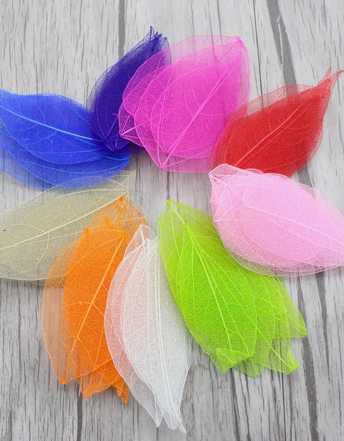 Load image into Gallery viewer, Lucia Crafts 36pcs /Bag Multi-Color Artificial Skeleton Leaf Dry Leaves Scrapbooking Girl DIY Material C0704 Zydropshipping
