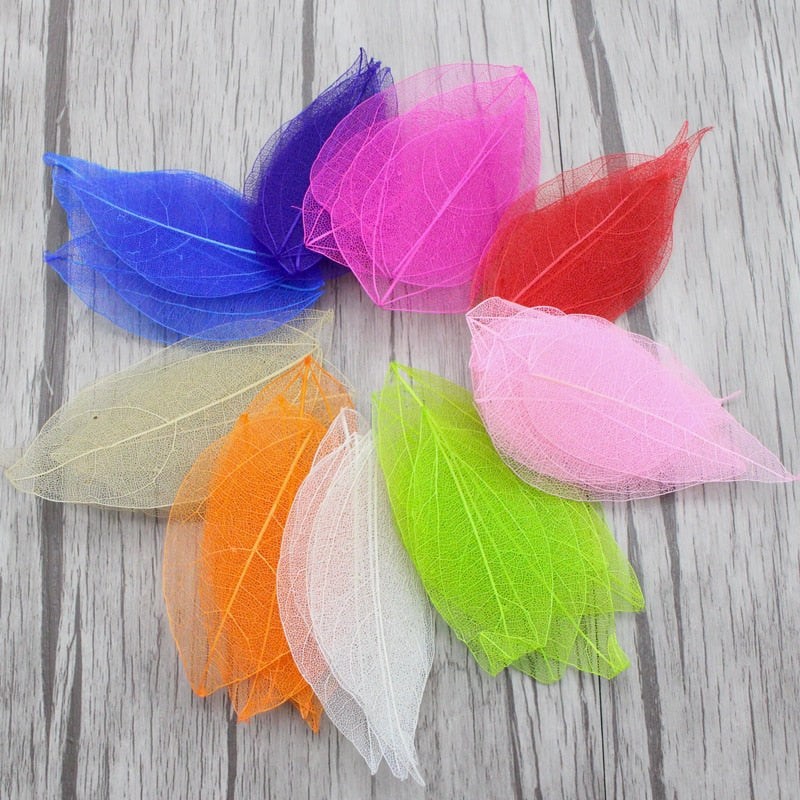 Lucia Crafts 36pcs /Bag Multi-Color Artificial Skeleton Leaf Dry Leaves Scrapbooking Girl DIY Material C0704 Zydropshipping