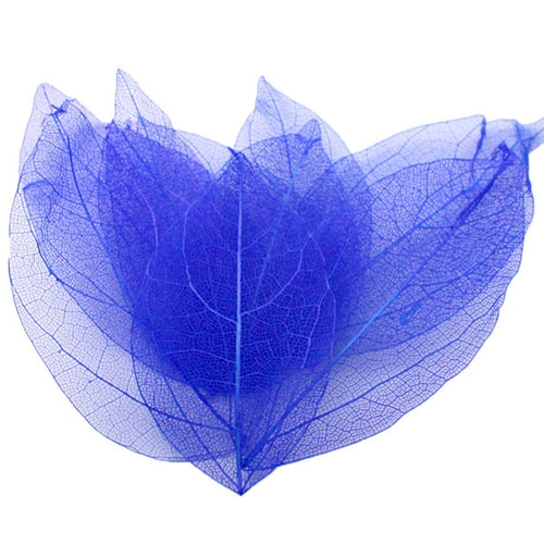 Load image into Gallery viewer, Lucia Crafts 36pcs /Bag Multi-Color Artificial Skeleton Leaf Dry Leaves Scrapbooking Girl DIY Material C0704 Zydropshipping
