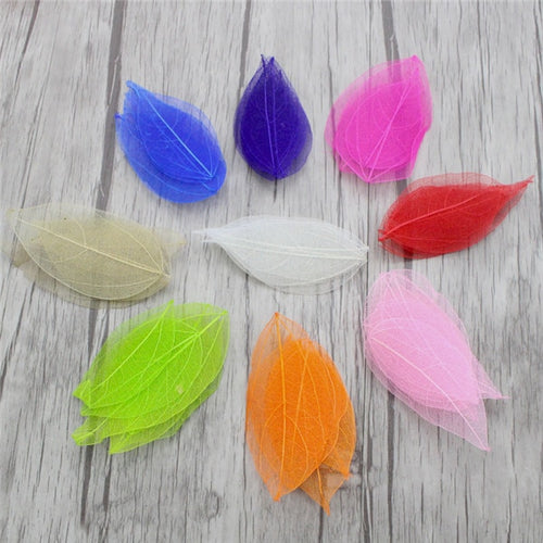 Load image into Gallery viewer, Lucia Crafts 36pcs /Bag Multi-Color Artificial Skeleton Leaf Dry Leaves Scrapbooking Girl DIY Material C0704 Zydropshipping
