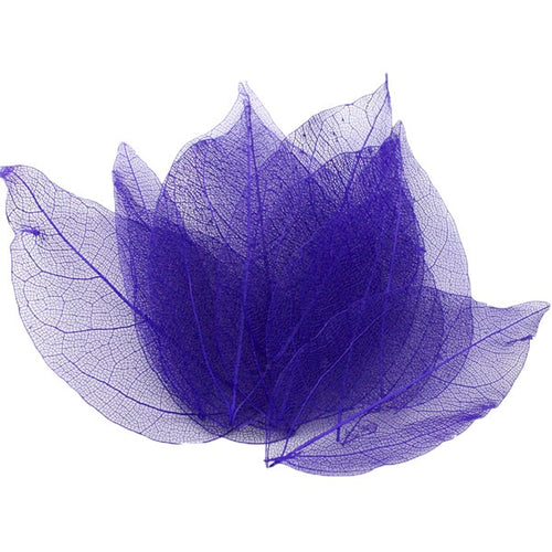 Load image into Gallery viewer, Lucia Crafts 36pcs /Bag Multi-Color Artificial Skeleton Leaf Dry Leaves Scrapbooking Girl DIY Material C0704 Zydropshipping
