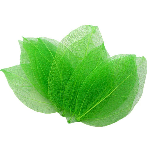 Load image into Gallery viewer, Lucia Crafts 36pcs /Bag Multi-Color Artificial Skeleton Leaf Dry Leaves Scrapbooking Girl DIY Material C0704 Zydropshipping
