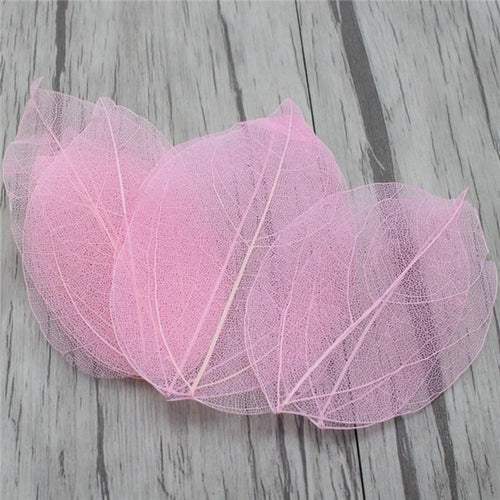 Load image into Gallery viewer, Lucia Crafts 36pcs /Bag Multi-Color Artificial Skeleton Leaf Dry Leaves Scrapbooking Girl DIY Material C0704 Zydropshipping
