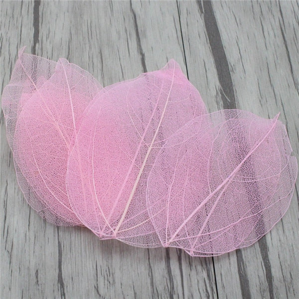 Lucia Crafts 36pcs /Bag Multi-Color Artificial Skeleton Leaf Dry Leaves Scrapbooking Girl DIY Material C0704 Zydropshipping