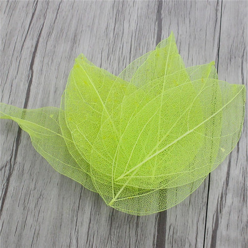 Load image into Gallery viewer, Lucia Crafts 36pcs /Bag Multi-Color Artificial Skeleton Leaf Dry Leaves Scrapbooking Girl DIY Material C0704 Zydropshipping
