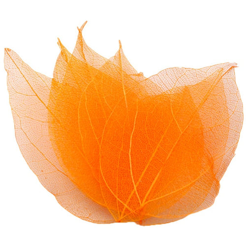 Load image into Gallery viewer, Lucia Crafts 36pcs /Bag Multi-Color Artificial Skeleton Leaf Dry Leaves Scrapbooking Girl DIY Material C0704 Zydropshipping
