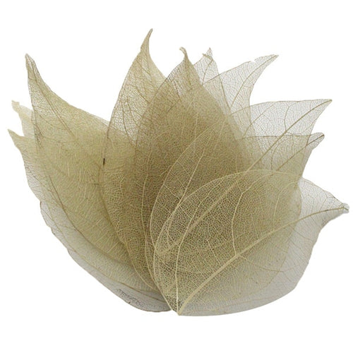 Load image into Gallery viewer, Lucia Crafts 36pcs /Bag Multi-Color Artificial Skeleton Leaf Dry Leaves Scrapbooking Girl DIY Material C0704 Zydropshipping
