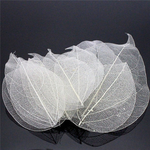 Load image into Gallery viewer, Lucia Crafts 36pcs /Bag Multi-Color Artificial Skeleton Leaf Dry Leaves Scrapbooking Girl DIY Material C0704 Zydropshipping
