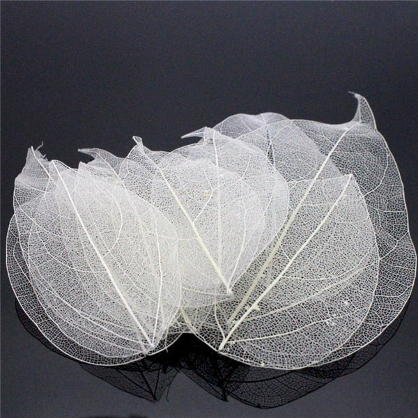 Lucia Crafts 36pcs /Bag Multi-Color Artificial Skeleton Leaf Dry Leaves Scrapbooking Girl DIY Material C0704 Zydropshipping