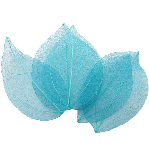 Load image into Gallery viewer, Lucia Crafts 36pcs /Bag Multi-Color Artificial Skeleton Leaf Dry Leaves Scrapbooking Girl DIY Material C0704 Zydropshipping
