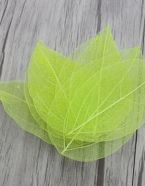 Load image into Gallery viewer, Lucia Crafts 36pcs /Bag Multi-Color Artificial Skeleton Leaf Dry Leaves Scrapbooking Girl DIY Material C0704 Zydropshipping
