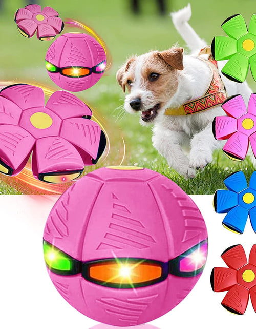 Load image into Gallery viewer, Magic Saucer Dog Toy: Interactive Fun for All Sizes Zydropshipping
