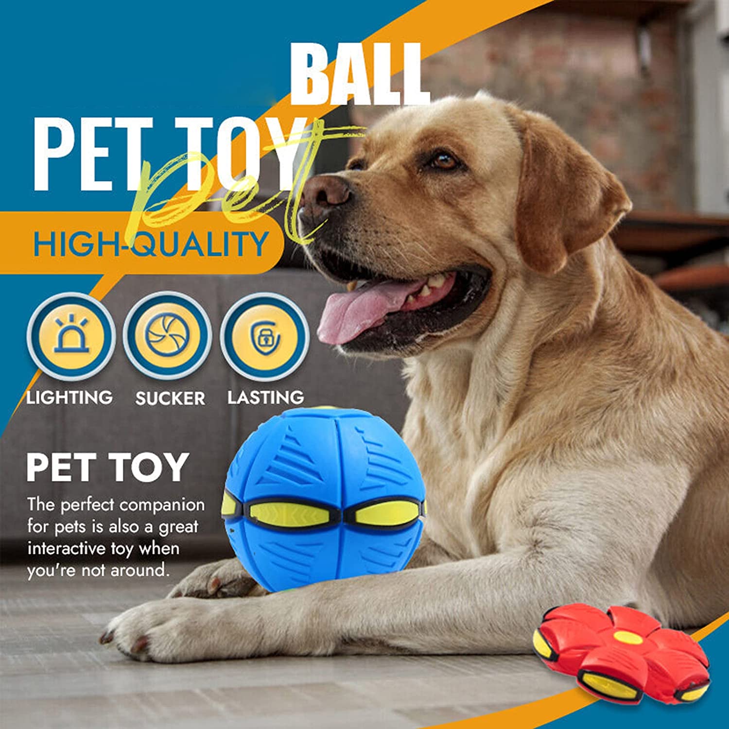 Magic Saucer Dog Toy: Interactive Fun for All Sizes Zydropshipping