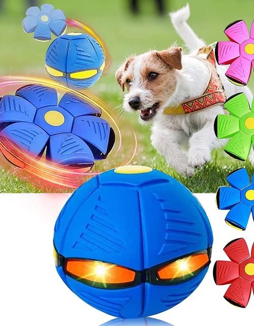 Load image into Gallery viewer, Magic Saucer Dog Toy: Interactive Fun for All Sizes Zydropshipping
