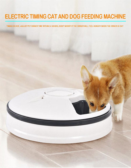 Load image into Gallery viewer, PawsPal Electric Pet Feeder: Automated Cat and Dog Feeding Machine for Happy and Healthy Pets Zydropshipping
