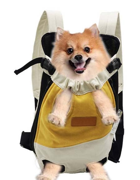 Pet Travel carrier zy dropshipping supplier in france